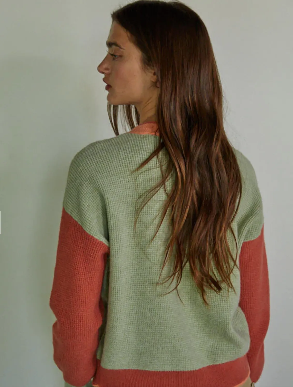 Brynn Contrast Sweater in Sage Cherry